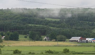 Foggy