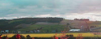Autumn is here already
