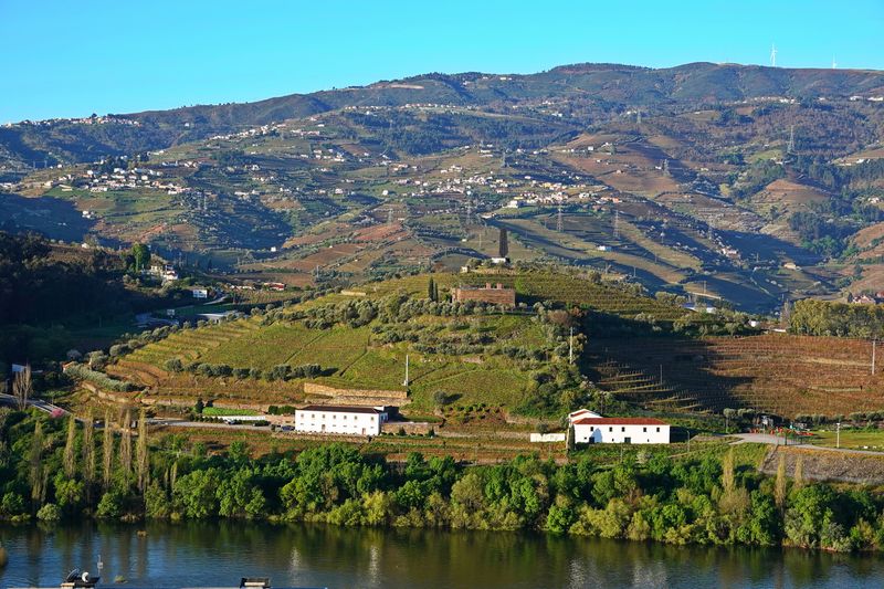 03 Douro Cruise.jpg