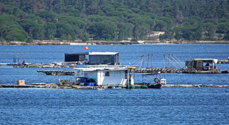 Sesimbra Castle Praia da Lagoa 22.jpg