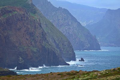 Madeira Bird Watching Tour 11.jpg