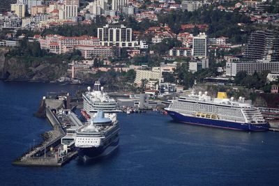 Madeira Bird Watching Tour
