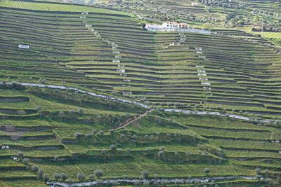 Duoro Valley - Vila Nova Da Foz Coa April 6, 2025