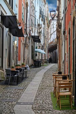 32 Coimbra University Library.jpg