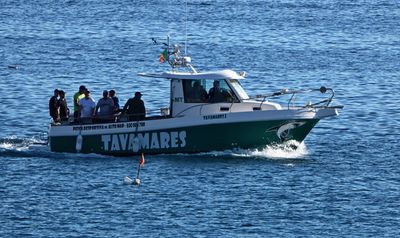 Sesimbra Portugal Beach 10.jpg