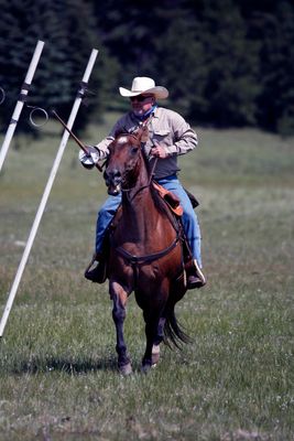 _YH_3160.jpg