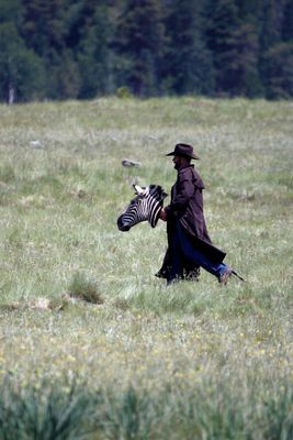 _YH_3577.jpg