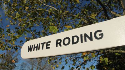 321: White Roding