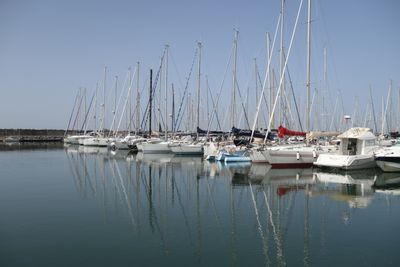 184: Marina
