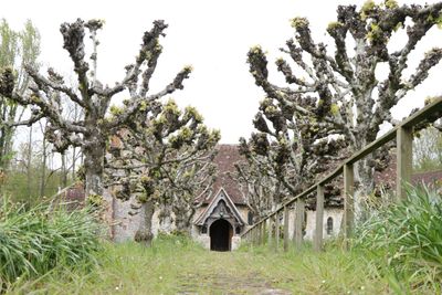 103: To the Church