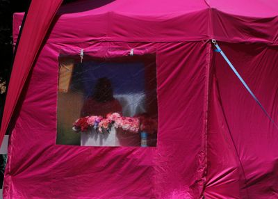 171: Flowers in the Window