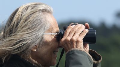 209: Birdwatcher