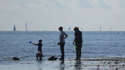 251: Seaside exploration
