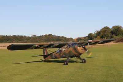 278: Auster