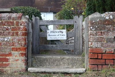 282: Beware of Cats