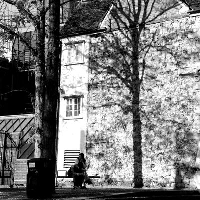 297: Projection in mono
