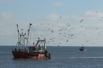 1: Bringing in the catch