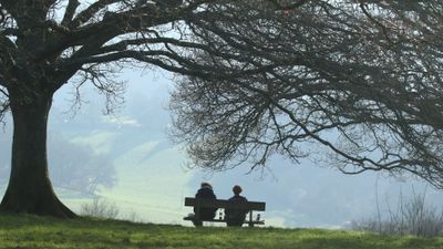 11: A View of Surrey