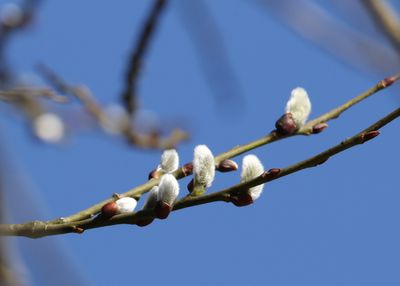 64: Signs of Spring