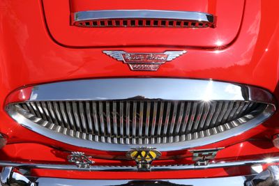 118: Austin Healey