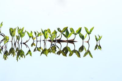 193: Reflecting