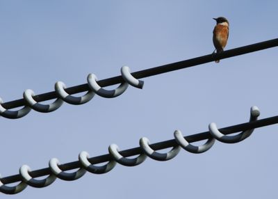 2025: 365 more photos