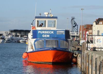 2025: 365 more photos