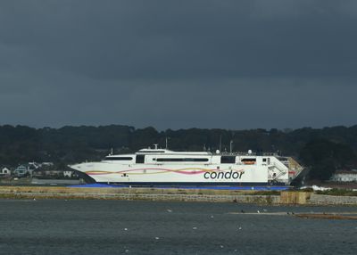 2025: 365 more photos