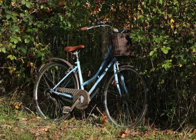 2025: 365 more photos