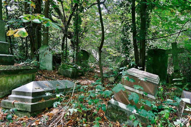 A little overgrown