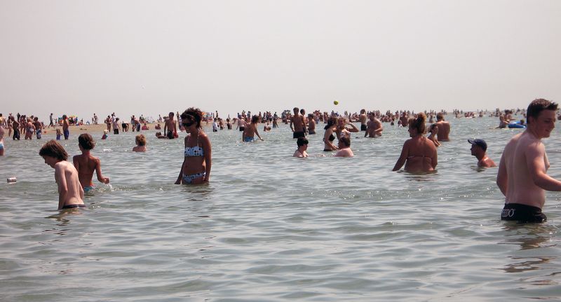 Lots of people in the sea today