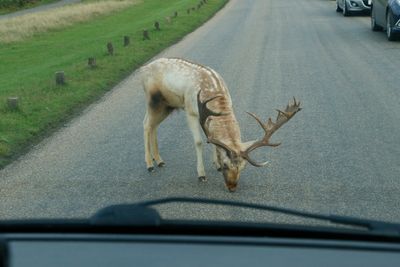 Take your time, i got all day to just sit here in the road