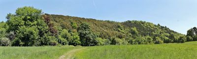 Box Hill