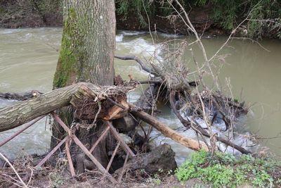 Rubbish washed down by recent floods