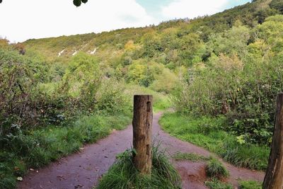 The side of the hill facing the A24