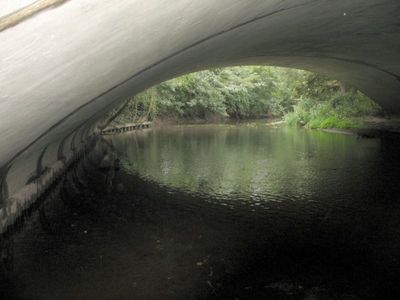 Under Burford Bridge