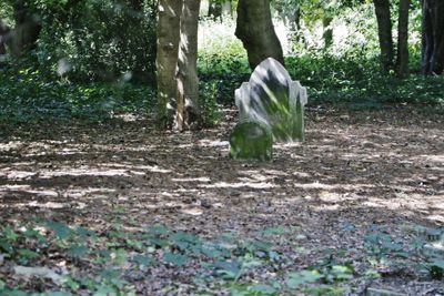 A lot of gravestones have gone.