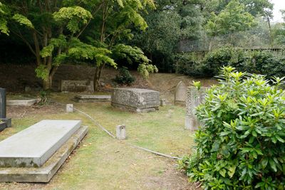 Mr Ismays grave is in the top right hand corner of the cemetery