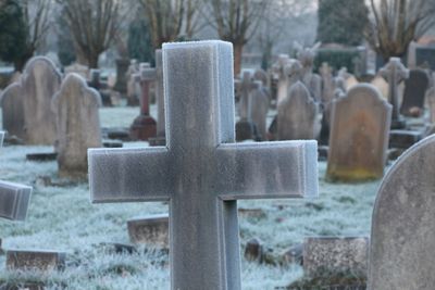 Frosty morning