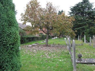 There is a row of houses down each side of the cemetery