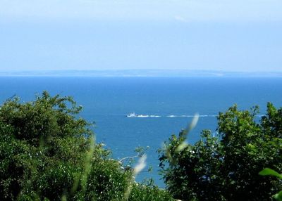 France,  20 miles