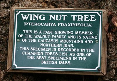 This tells you everything about the tree, except where it is