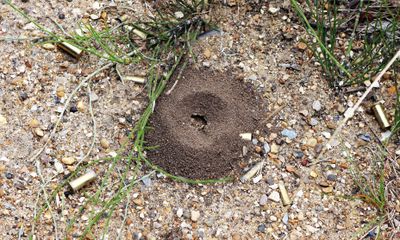 I dont know what will come out of this hole, at least it will be small.