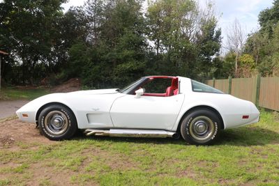 A Corvette, belongs to my friend Kurt