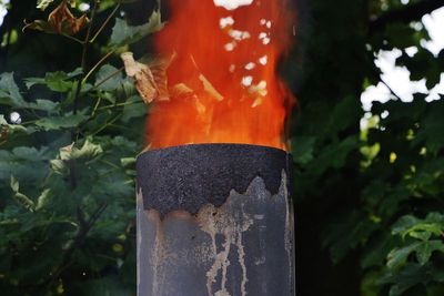 The hotter the flame the better destruction of diseased wood