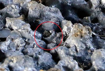 Circled is a .177 lead pellet stuck in the pitted steel surface. You can see the rifling impressed on the pellet skirt