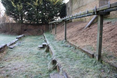 The butts on a frosty day