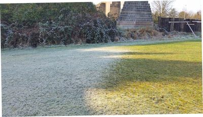 Frost to the left, sunny grass to the right