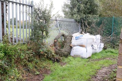 Damaged fence