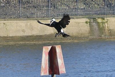 That metal looks a bit sharp, hope he makes a soft landing